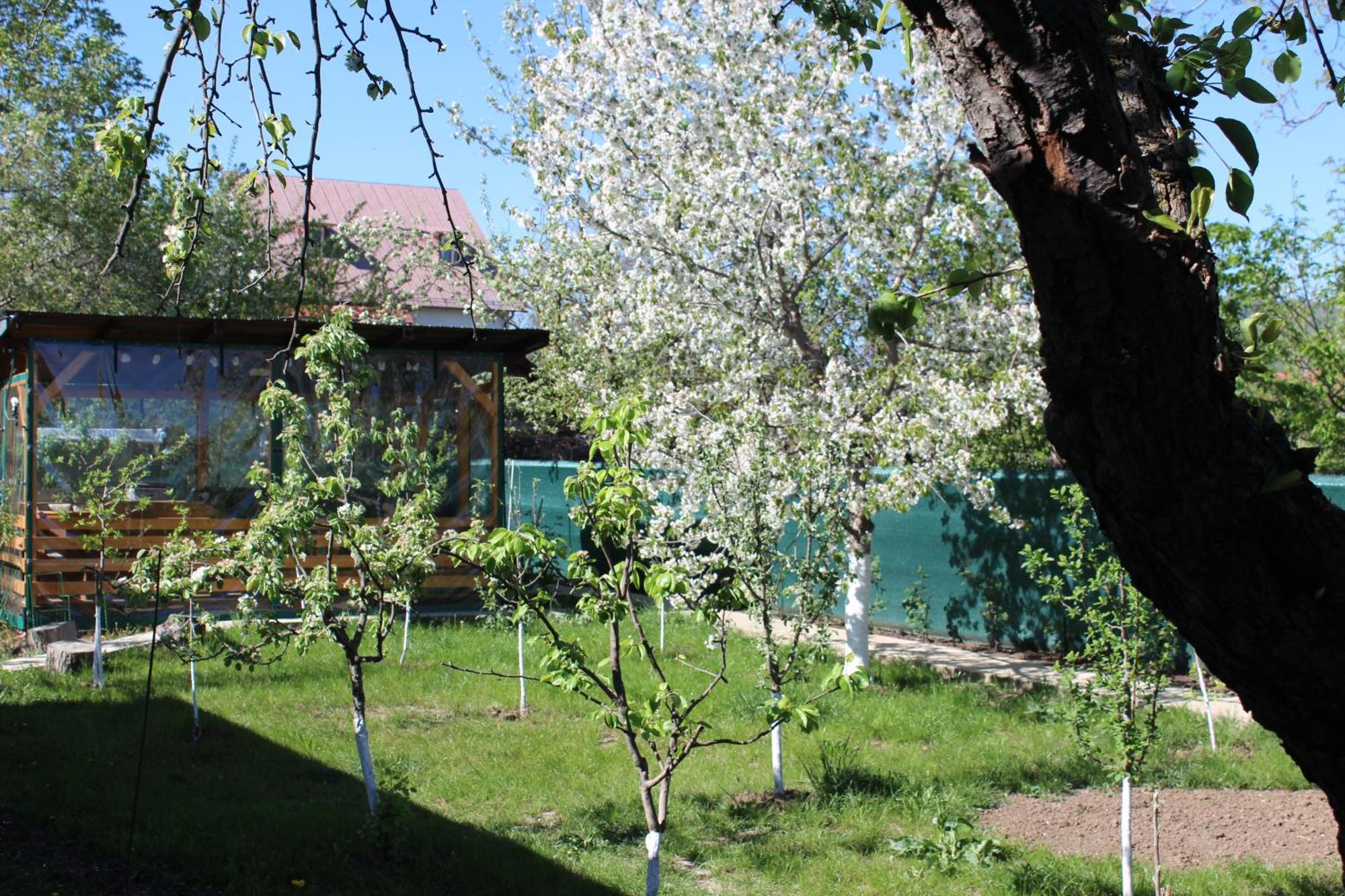 Villa Casuta Artistilor Breaza  Esterno foto