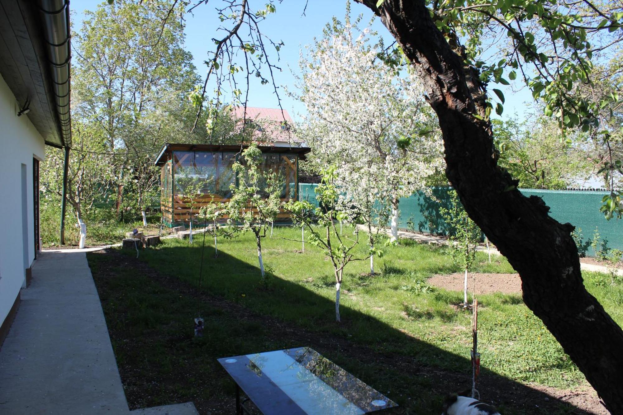 Villa Casuta Artistilor Breaza  Esterno foto