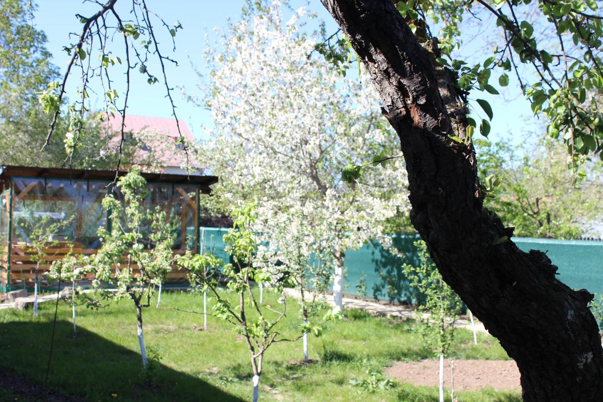 Villa Casuta Artistilor Breaza  Esterno foto
